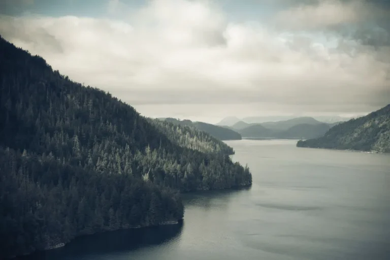 3f0c489e3080499df379be0aa17a2b1e19614c84-1150x767